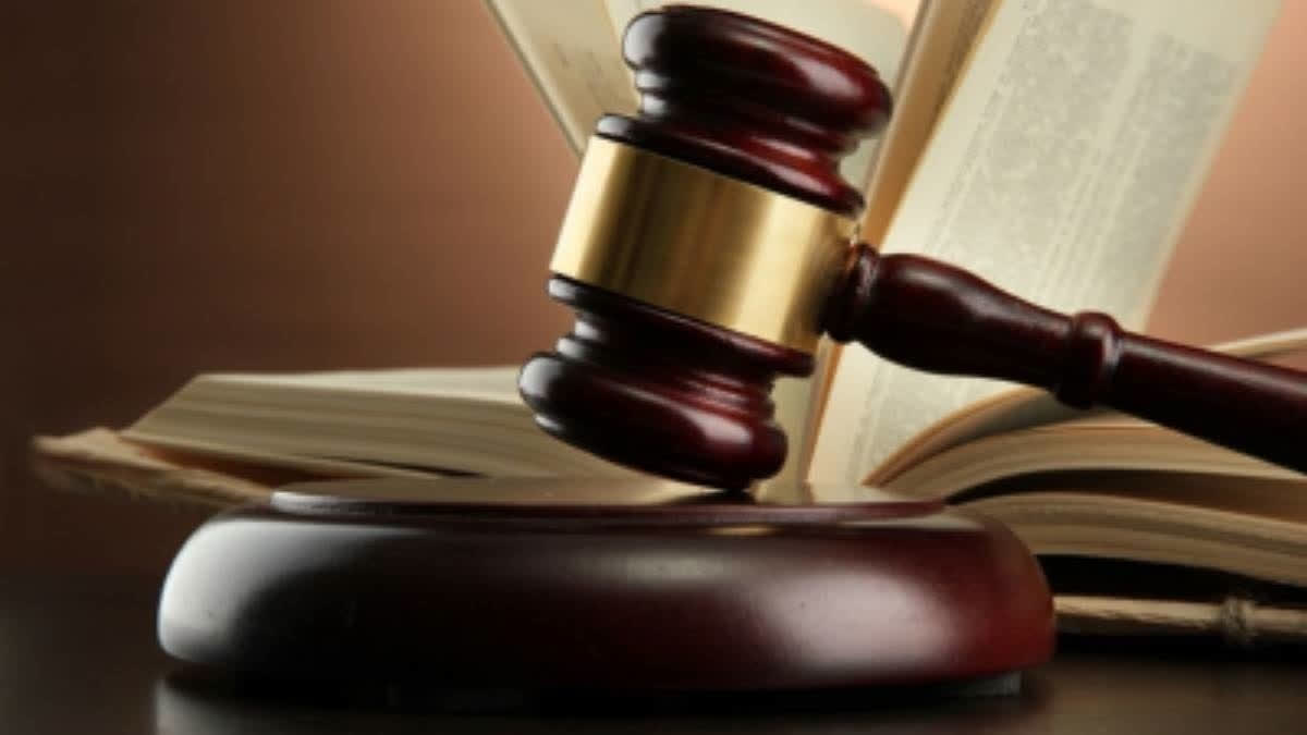 Gujarat Court Sentences 3 To Life Imprisonment In Cow Slaughter Case