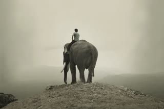 கும்கி- 2 பட போஸ்டர்