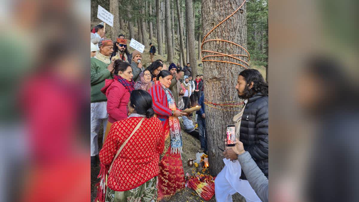 No Felling Of 6,000 Trees For Gangotri Highway Widening, New Plan Chalked Out