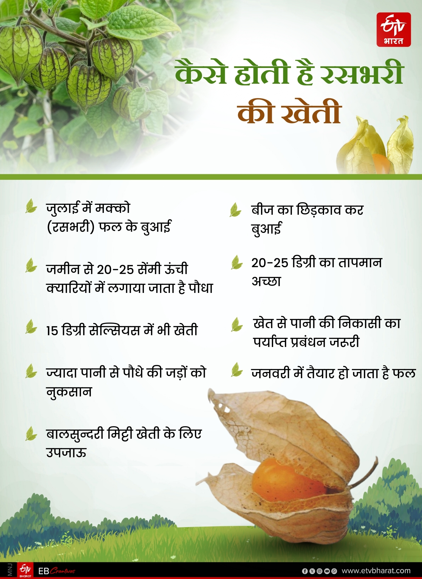 RASBHARI CULTIVATION IN BIHAR