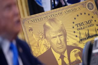 Trump Gold Card