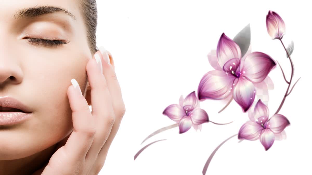 Uzoq shifon yubka bilan qisqa liboslar