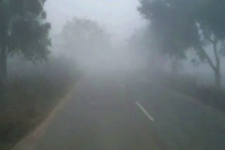 IMD Officer Interview on Sudden Changes in Weather