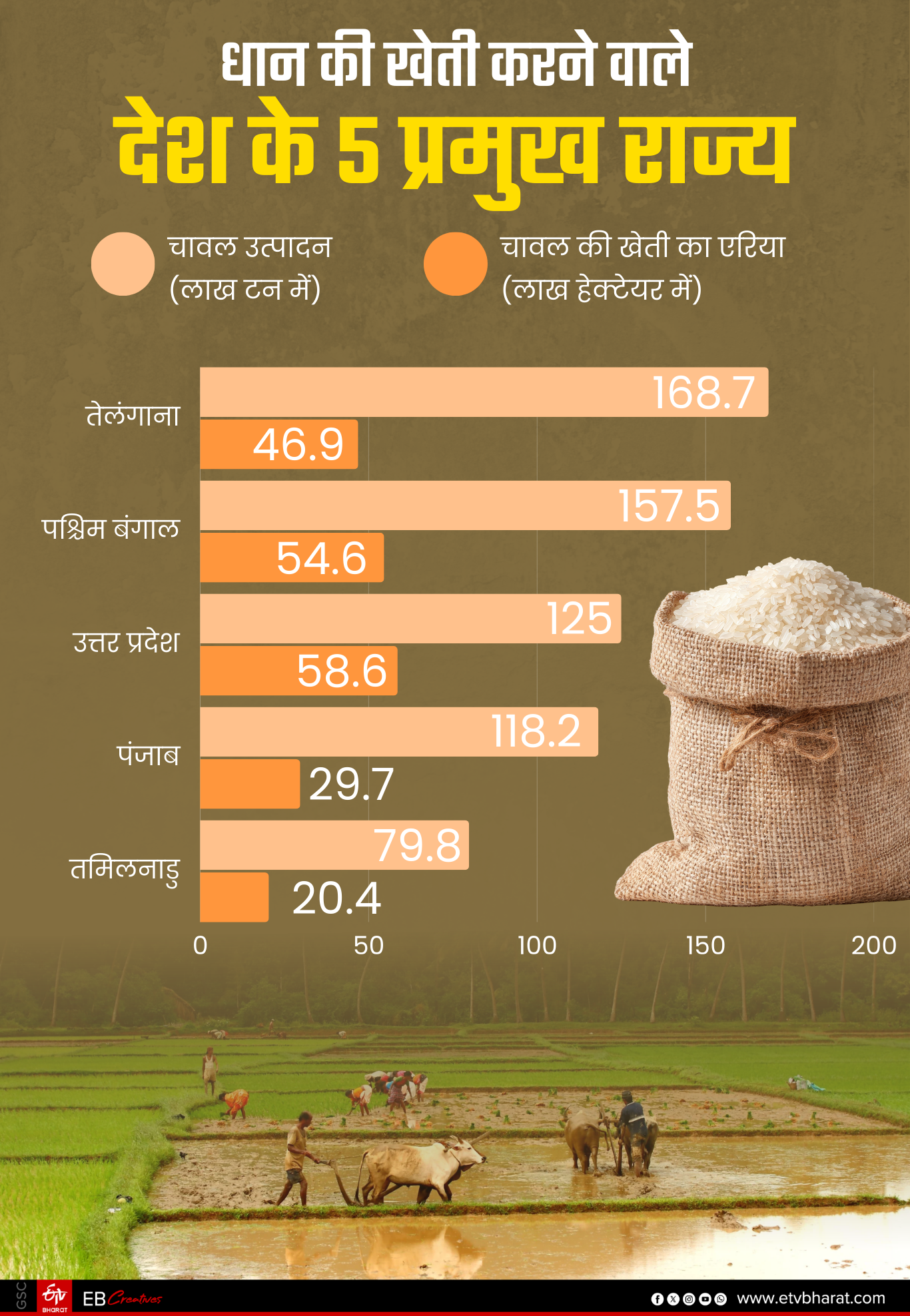 देश के कई राज्यों में होती है धान की खेती.