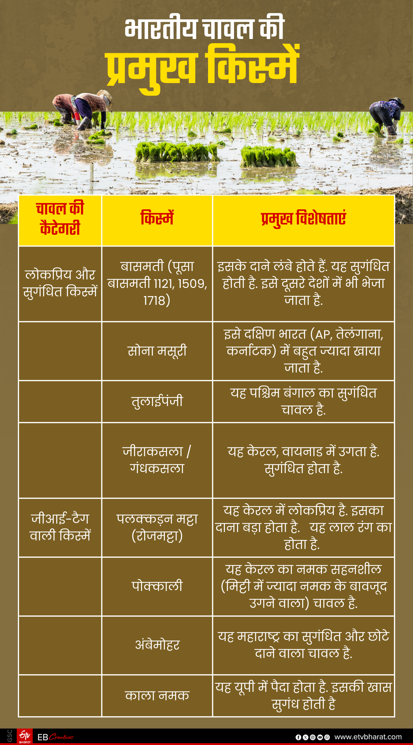 भारतीय चावल की किस्में.