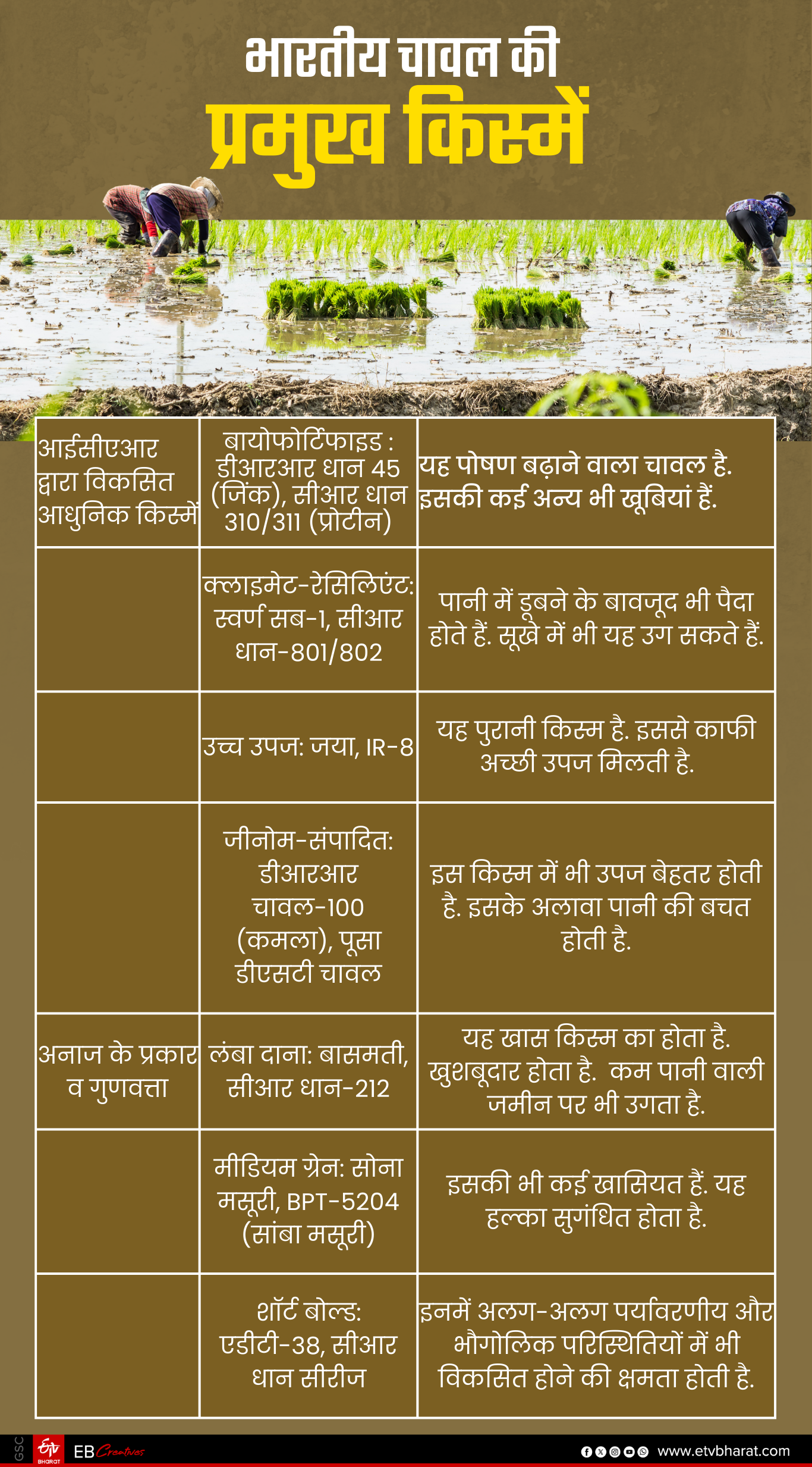 भारतीय चावल की किस्में.