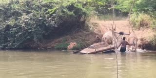 செய்யாற்றில் மணல் கொள்ளை