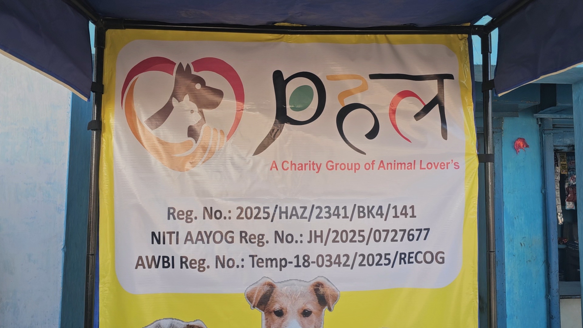anti rabies vaccine inject in the street dogs