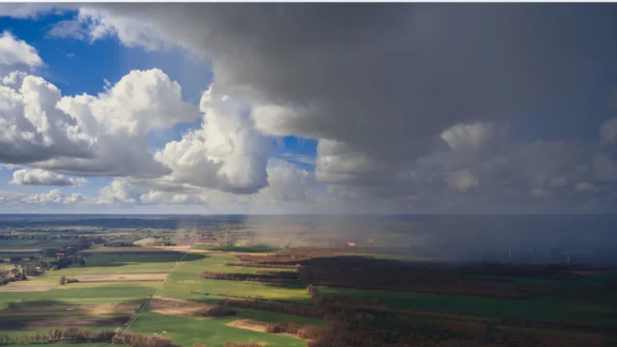 HARYANA WEATHER UPDATE