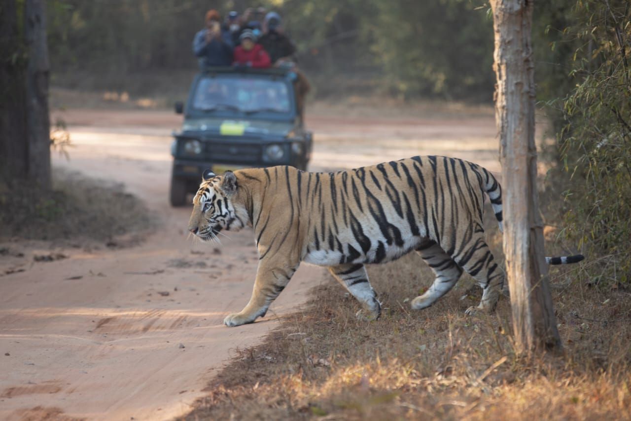 UAMRIA BANDHAVGARH TIGER RESERVE