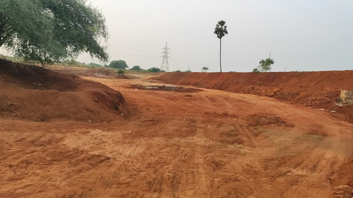 The parched lands in his native village V.Vepangudi inspired Narendran Kandasamy to leave a lucrative US job and return home