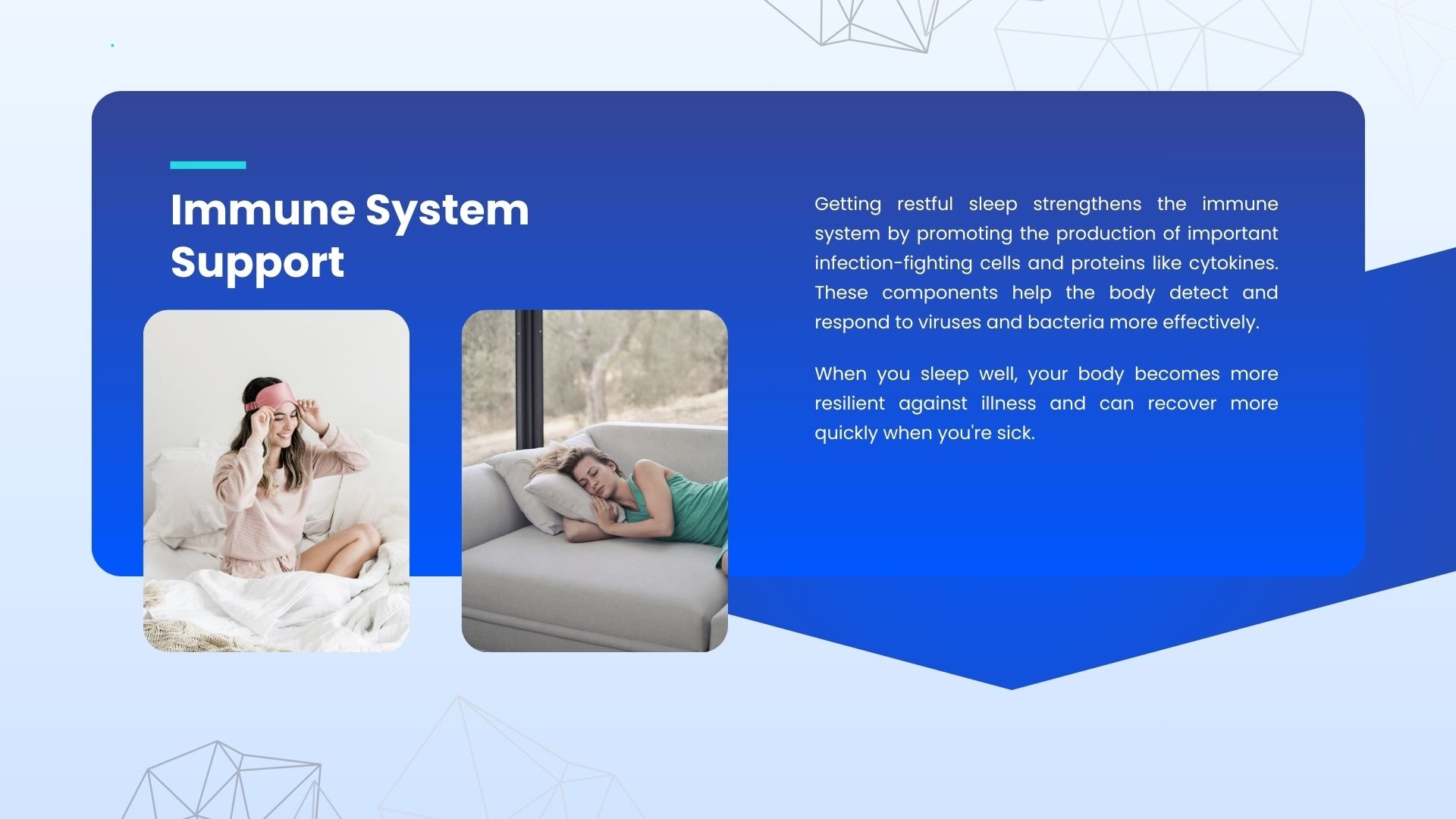 Supports immune system