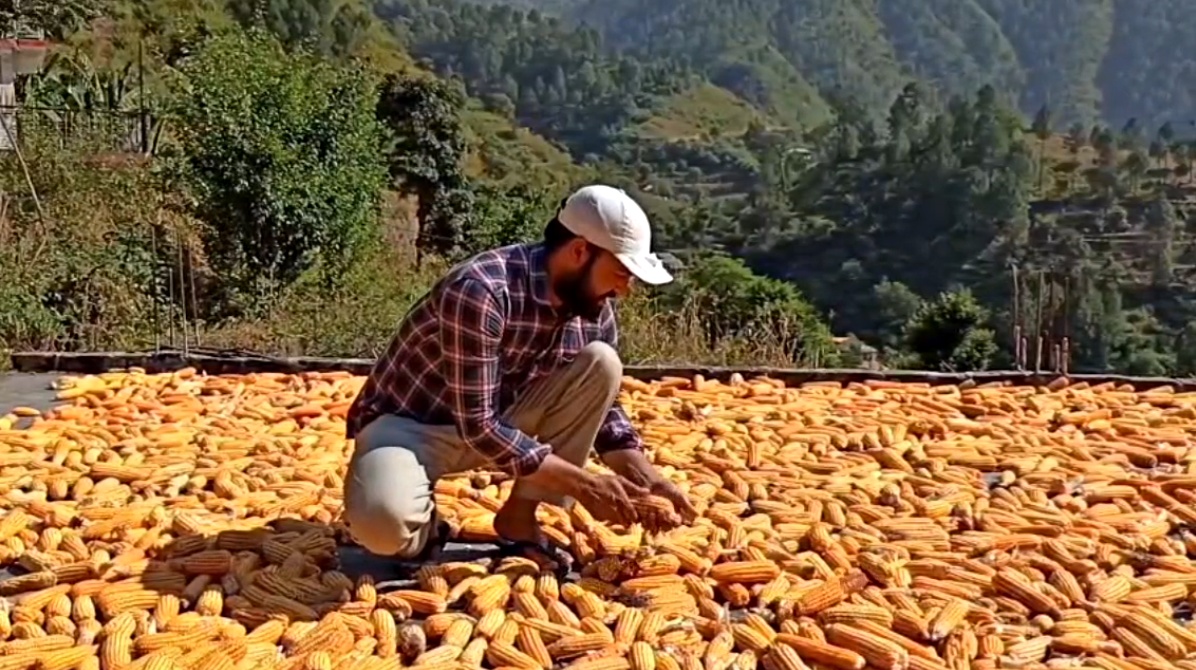 HIMACHAL NATURAL FARMING