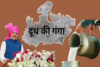 MOHAN YADAV CABINET MEETING