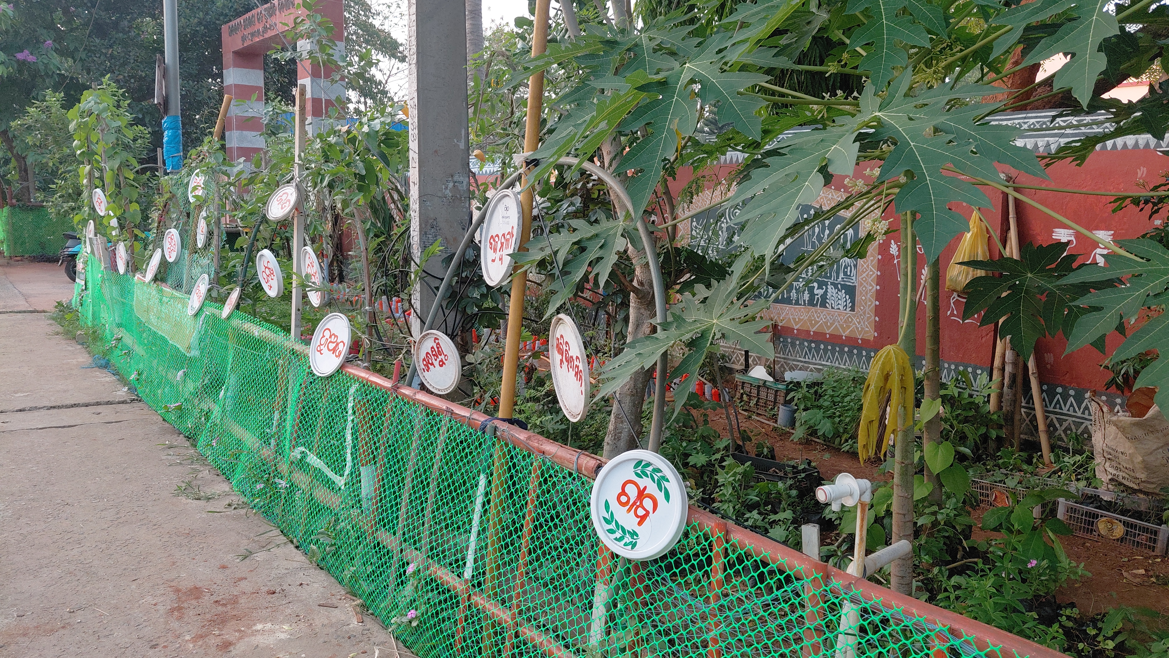 Odisha Man Turns Retirement Into Green Mission Growing & Distributing 40 Plus Medicinal Plants For Free