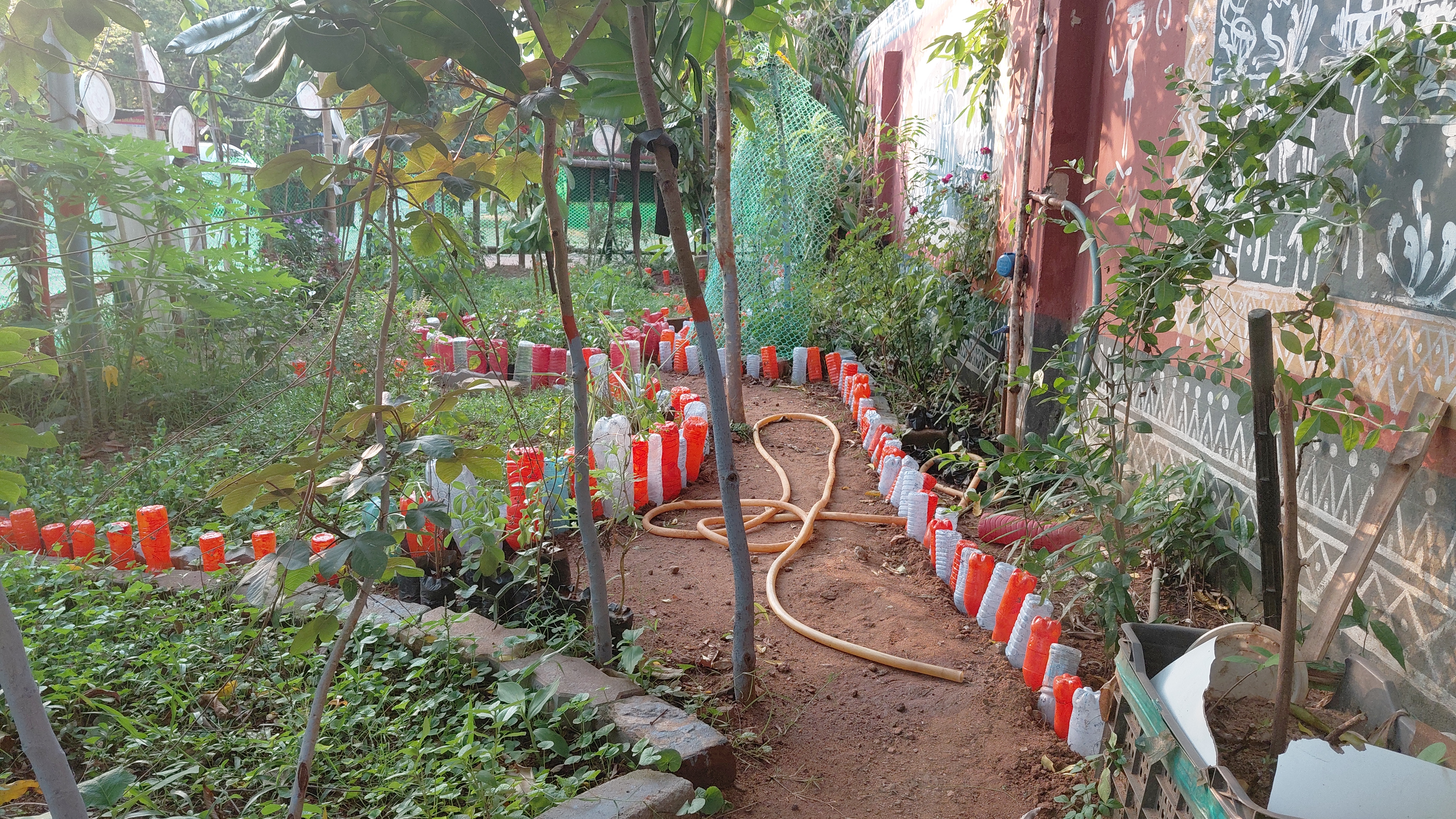 Odisha Man Turns Retirement Into Green Mission Growing & Distributing 40 Plus Medicinal Plants For Free