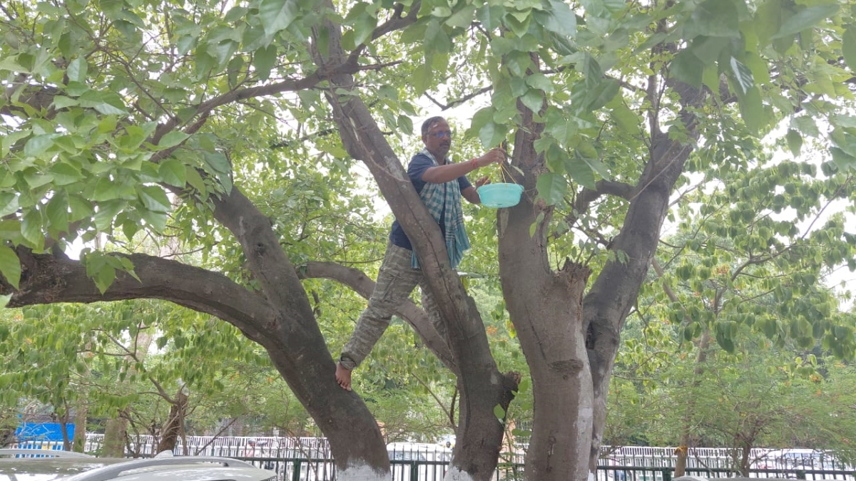 Angels in the Heat: How The Birdmen Of Odisha Provision Water For Thirsty Birds And Animals