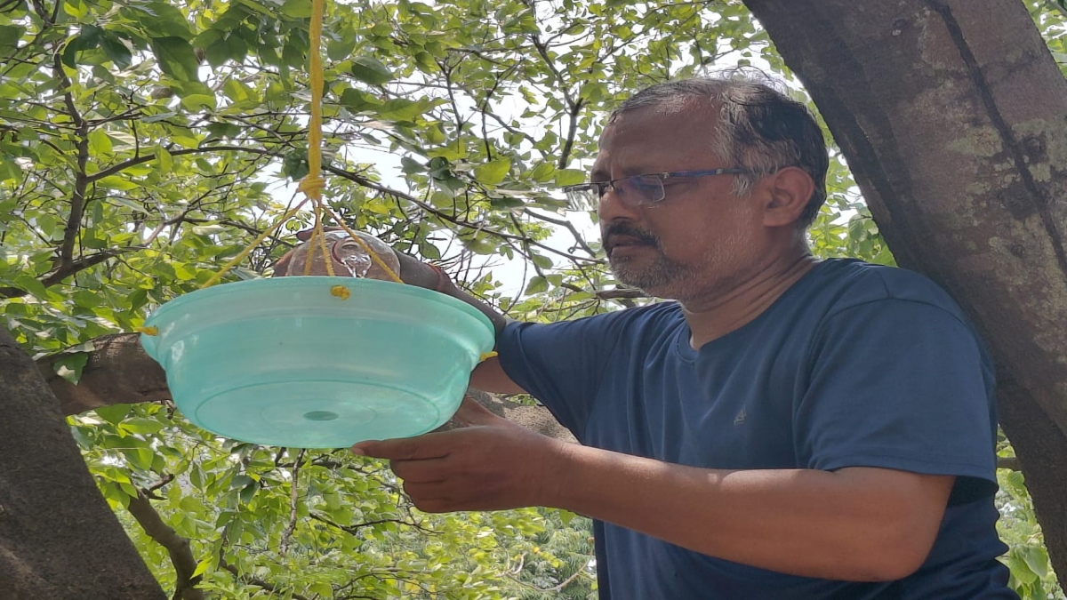 Angels in the Heat: How The Birdmen Of Odisha Provision Water For Thirsty Birds And Animals
