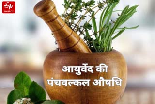 जानें क्या होता है 'पंचवल्कल अर्क'.