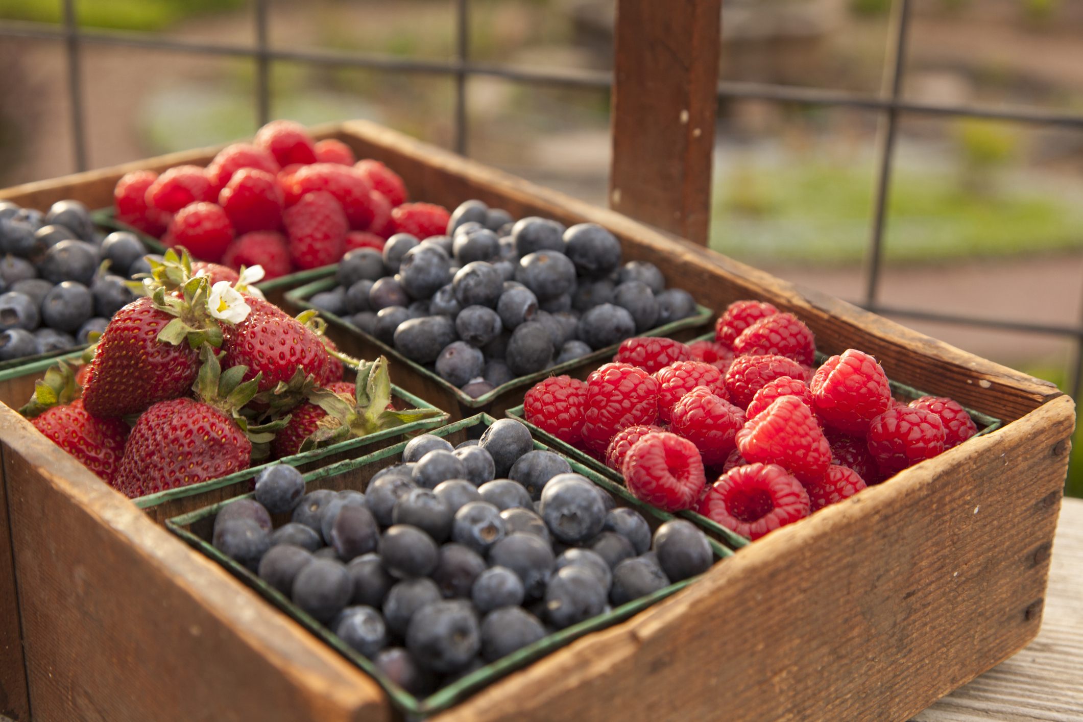 From blueberries and strawberries to blackberries, raspberries, amla, and even acai, berries are among the most nutrient-dense and yummy foods on the planet (Representational Image)