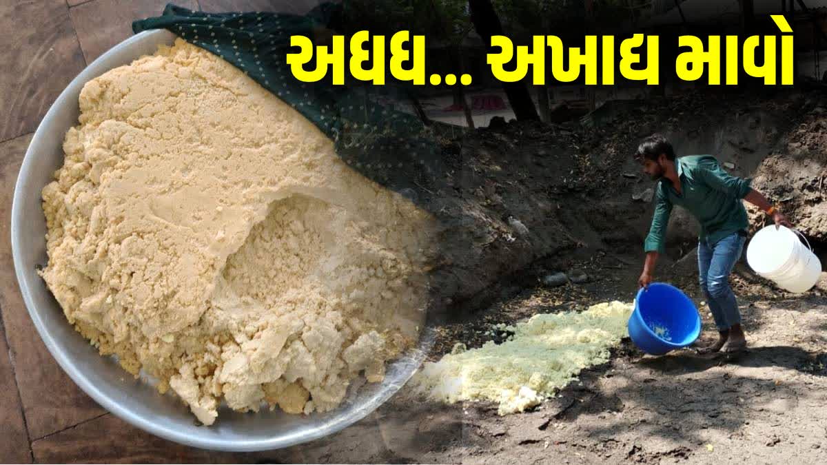 Bhavnagar News ભાવેણુ - ShareChat