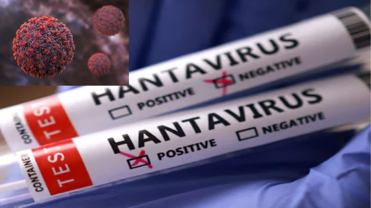 Could Hantavirus also take the form of a pandemic, much like COVID-19? Find out what doctors have to say about this.