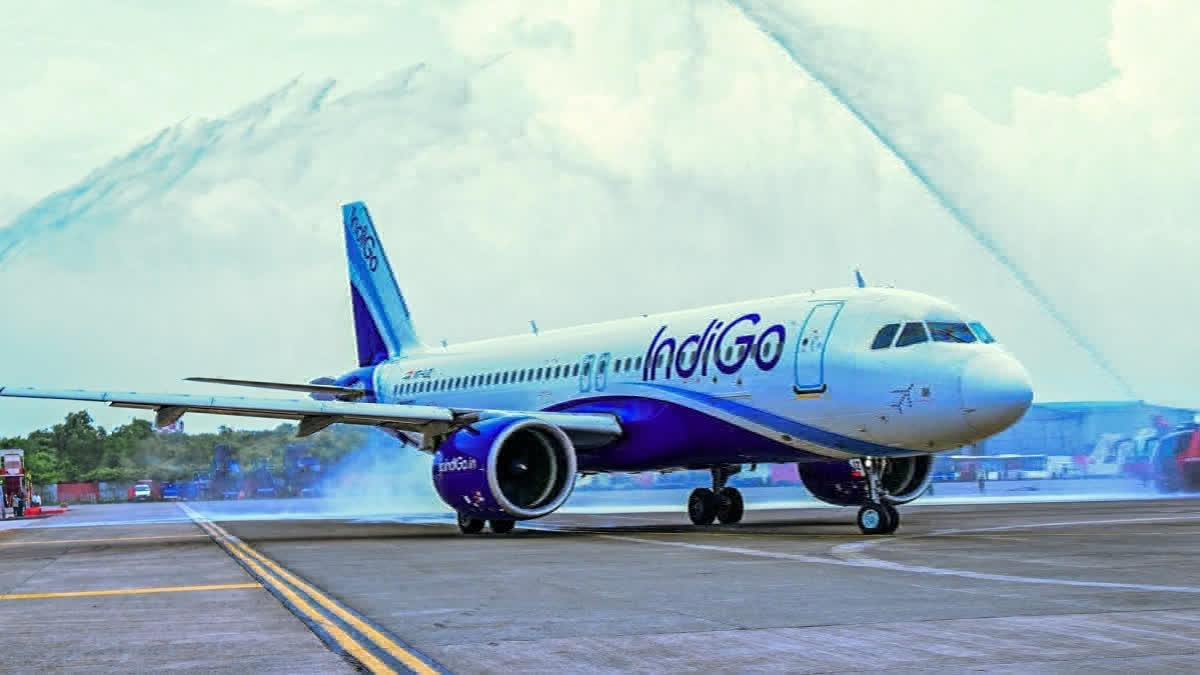 Indigo