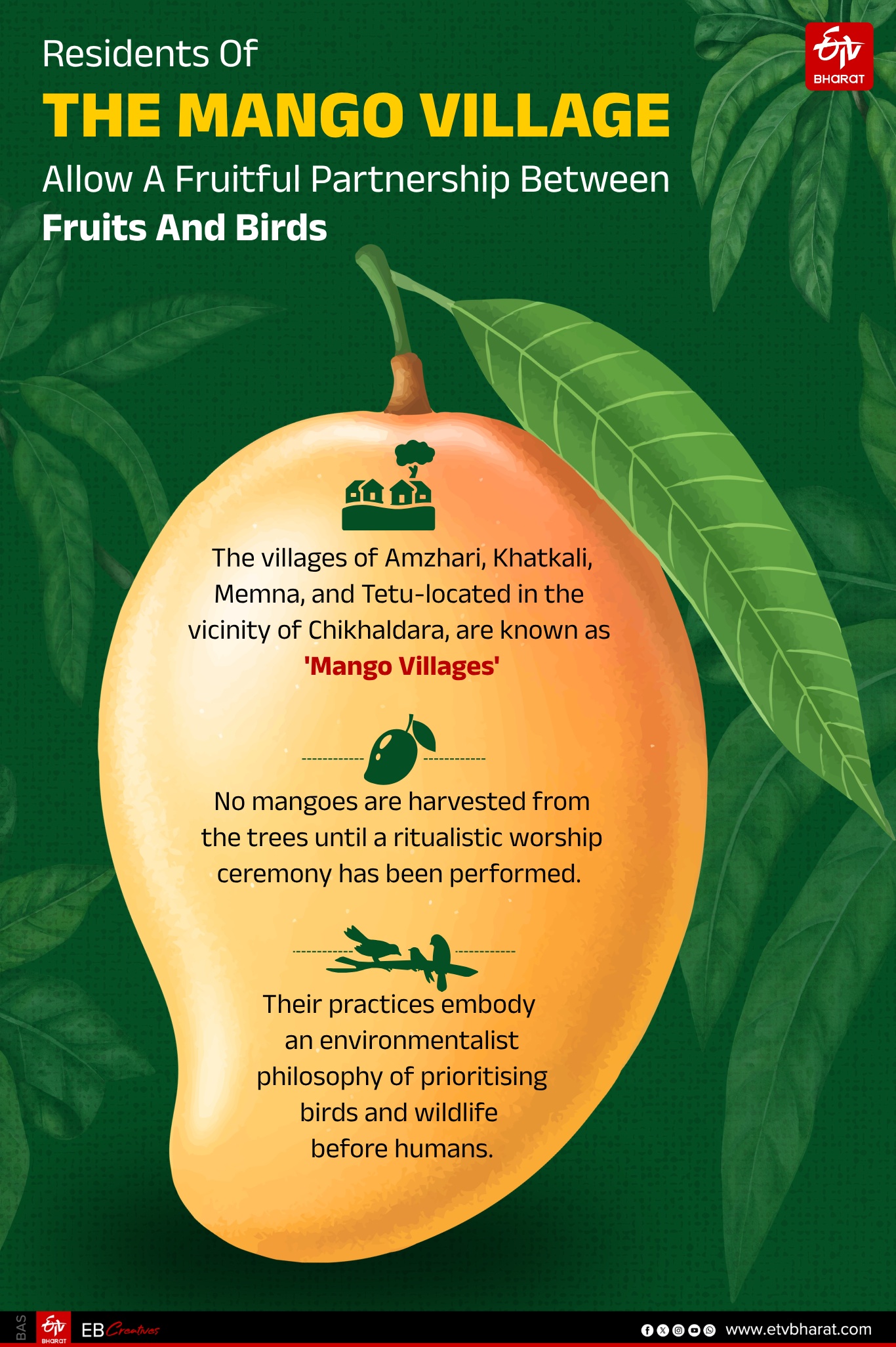 Mangoes