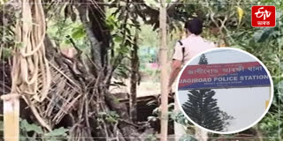 Terror of cow thieves in Jagerod