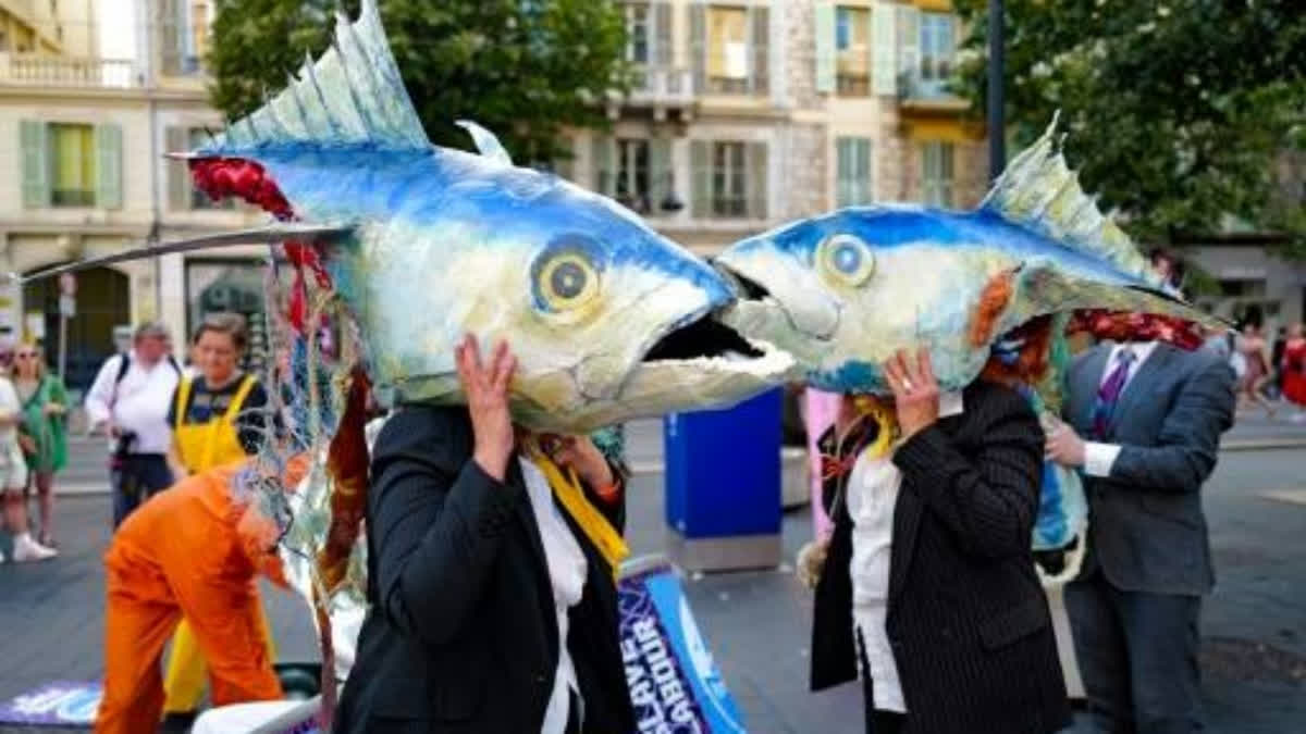 UN Summit To End With Boost For Ocean Conservation UN Summit To End With Boost For Ocean Conservation