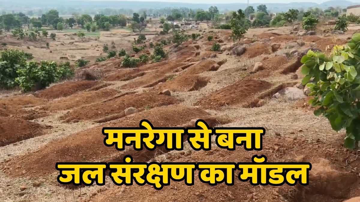 pledge to save every drop of rain