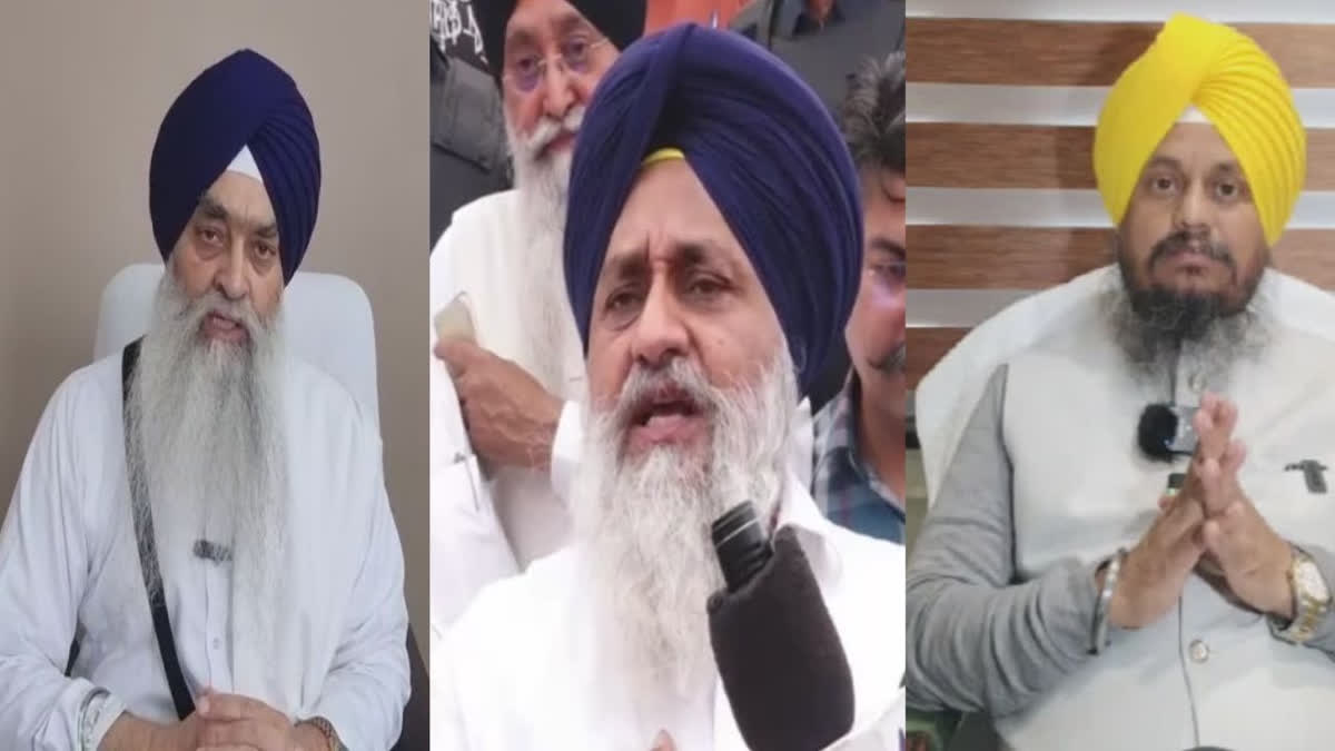 Giani Raghbir Singh clarification