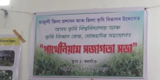 Majuli News