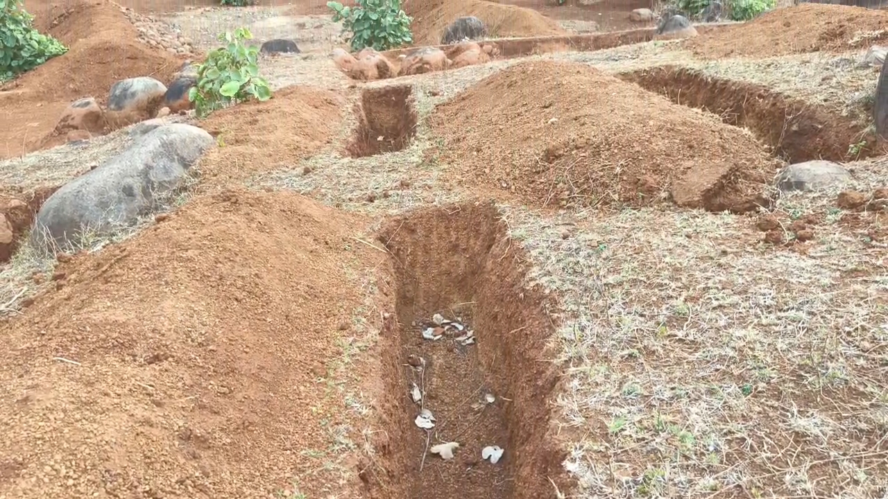 pledge to save every drop of rain