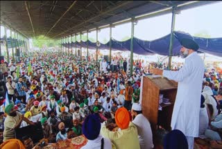 RALLY IN FAVOR OF LAKHA SIDHANA