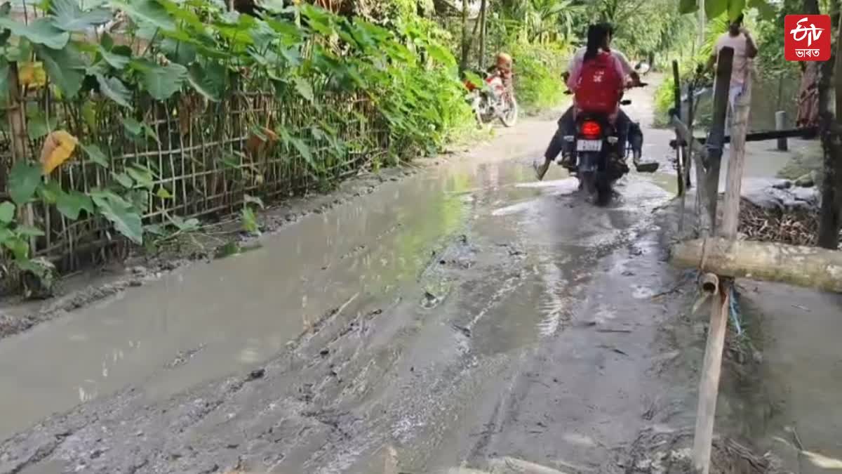 dilapidated road