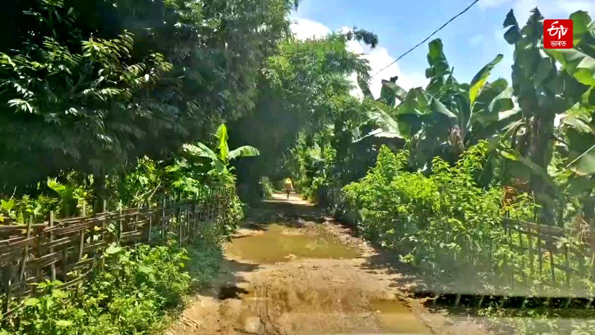 Jonai village no govt facility