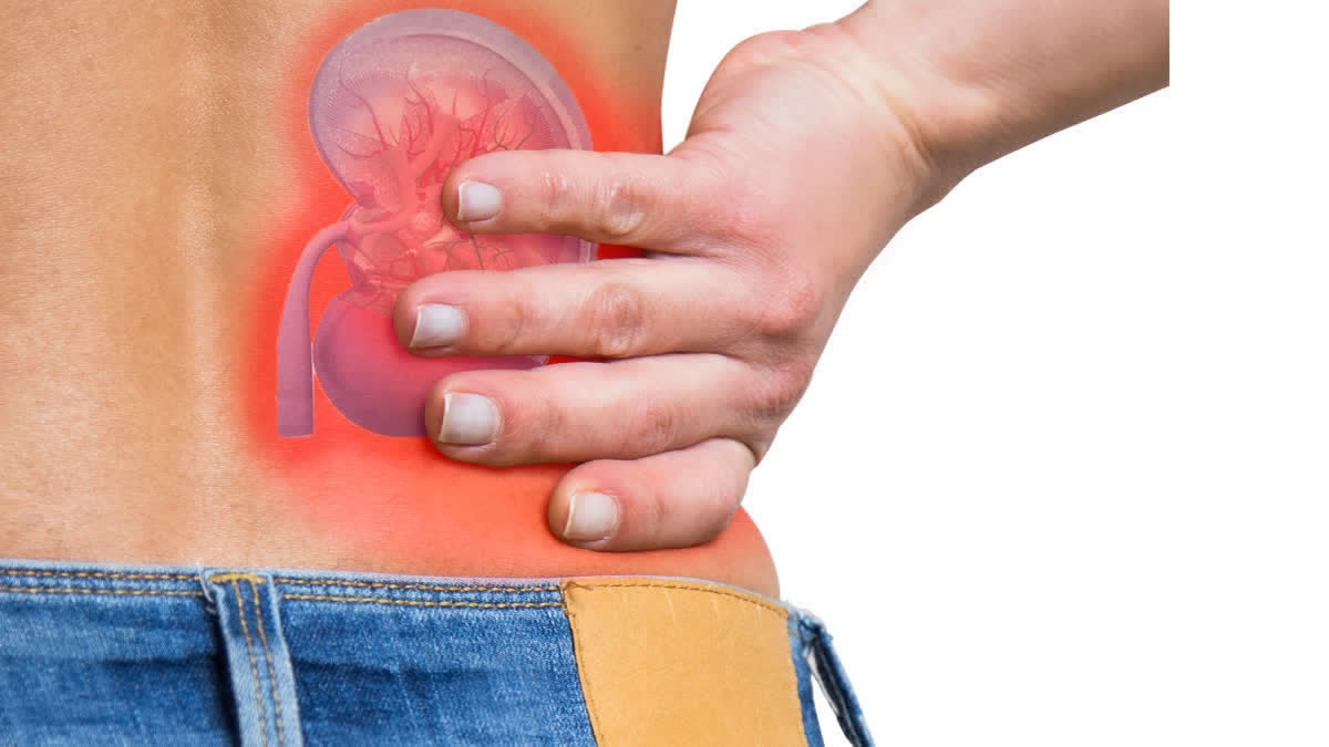 Kidney Damage
