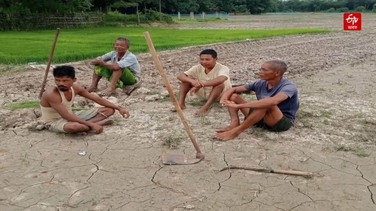 Draught hits Kampur