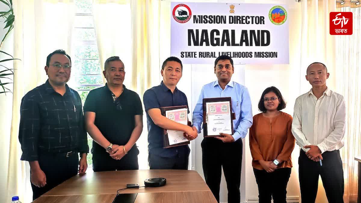 Bamboo Livelihoods in Nagaland