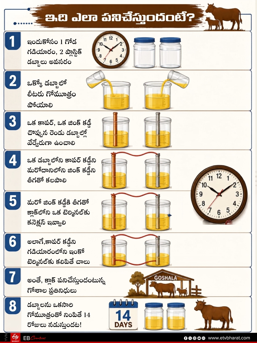 Clock Works with Cow Urine