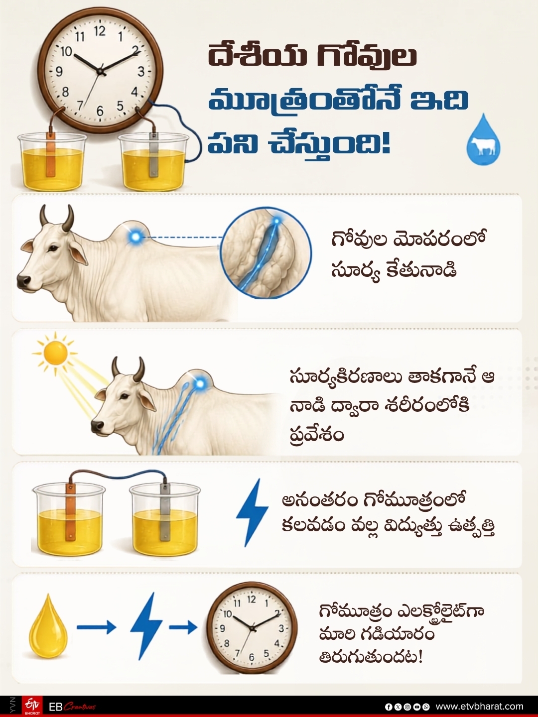 Clock Works with Cow Urine