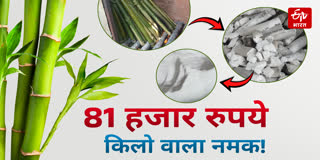 81 हजार रुपये किलो वाला नमक!