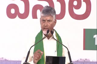 CM Chandrababu Laying Foundation Stone For Dowleswaram Barrage Gates