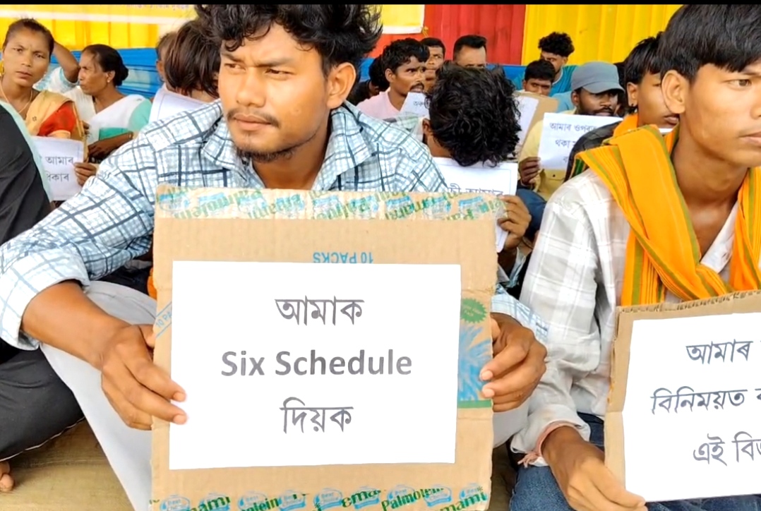 ATSU and Tribal Belt Block and Land Protection Committee protest against Assam Government in Morigaon Nellie