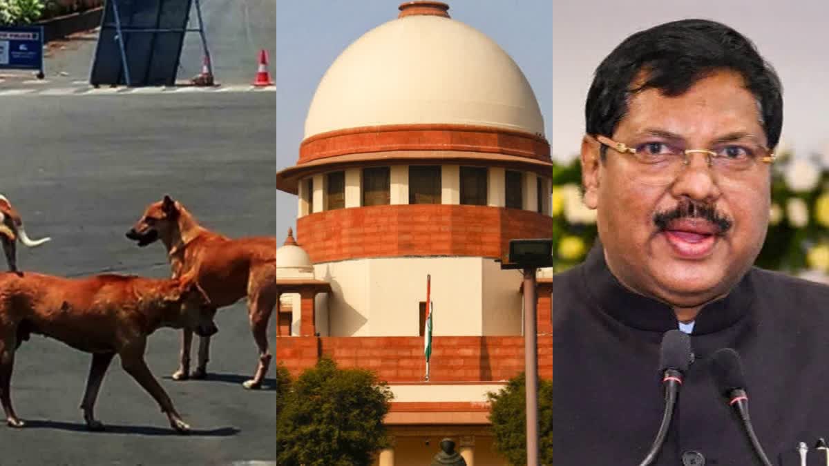CJI On Delhi Stray Dogs Issue