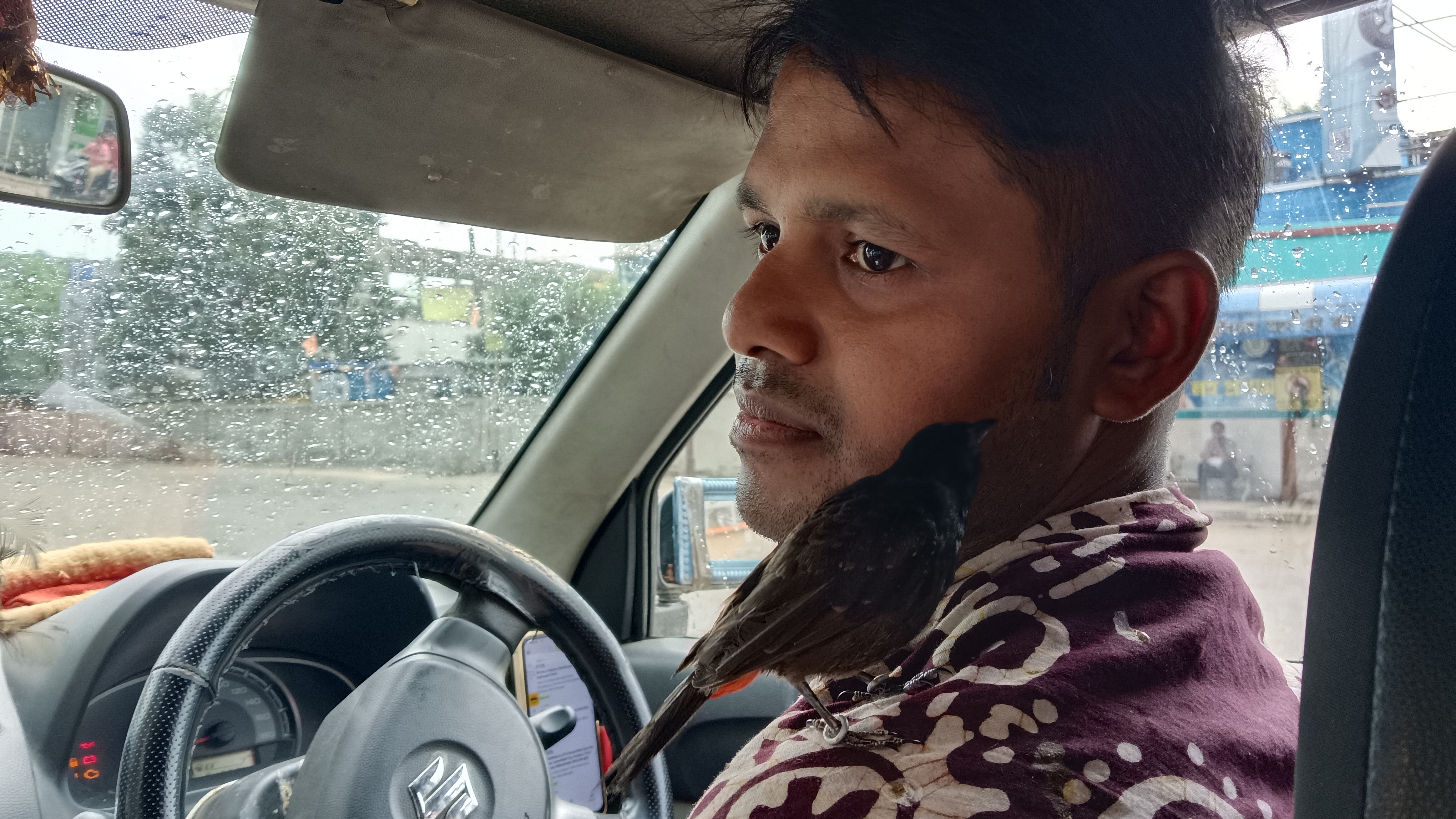 bird and cab driver friendship