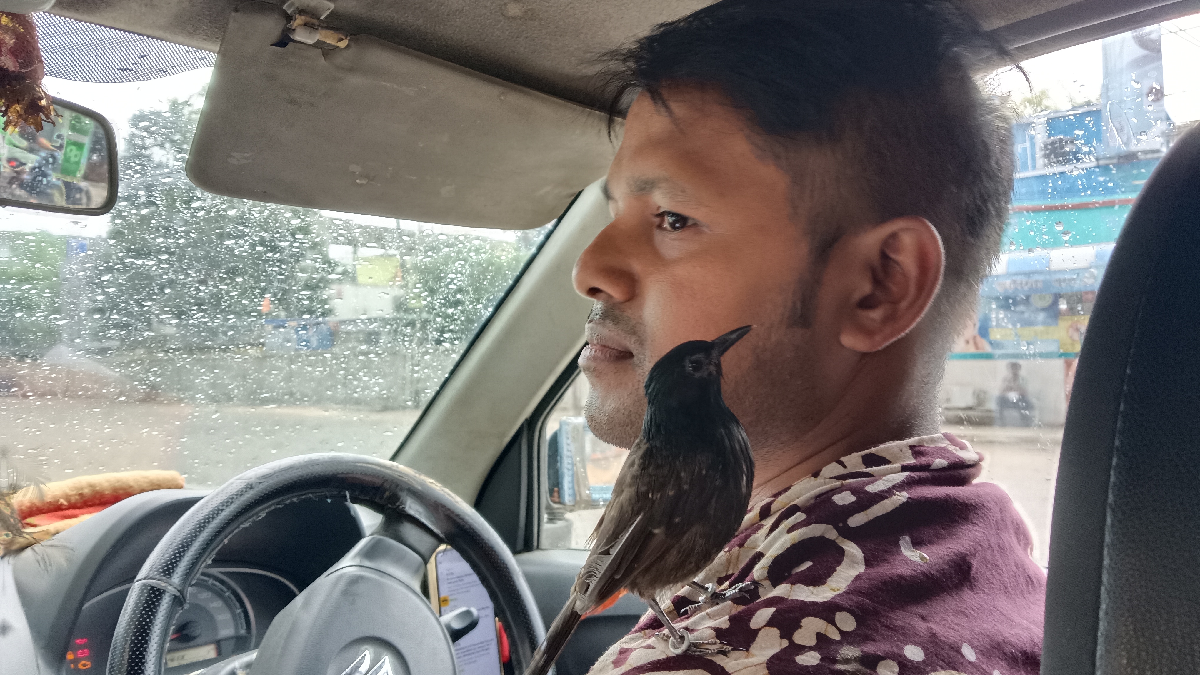 bird and cab driver friendship