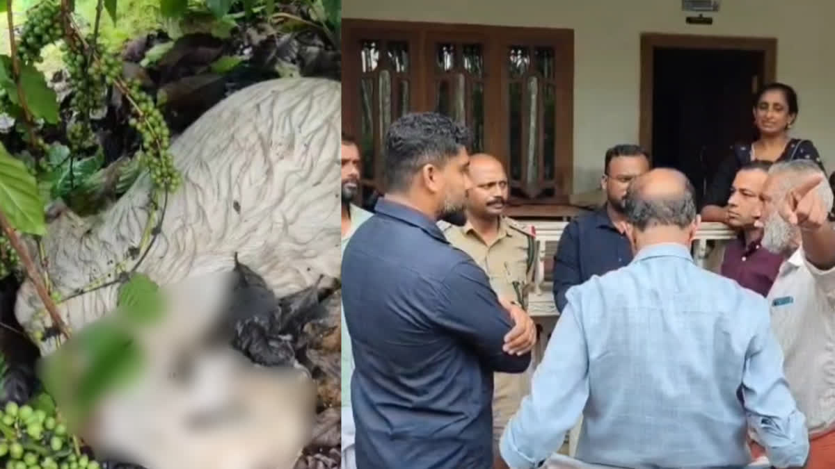 leopard tiger attack  paloor forest office protest  wayanad kalannoor leopard attack  human wildlife conflict