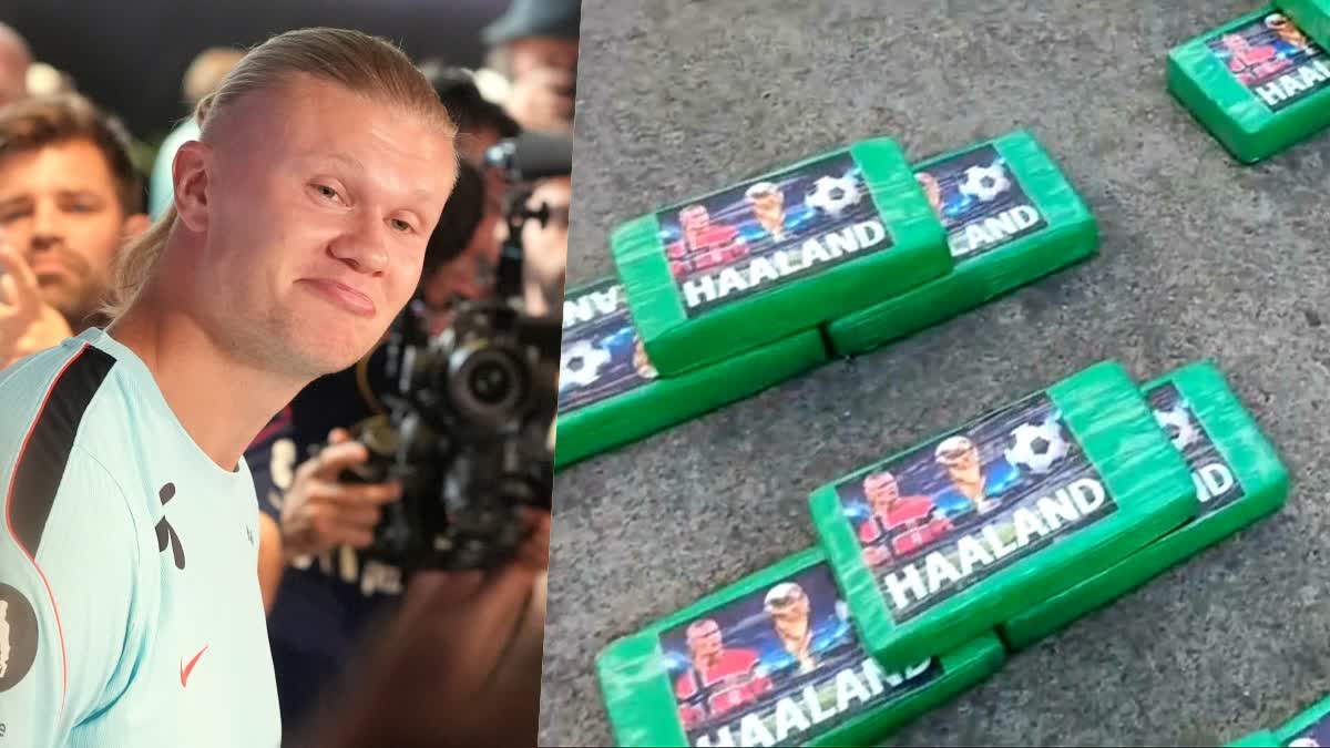 Erling Haalands